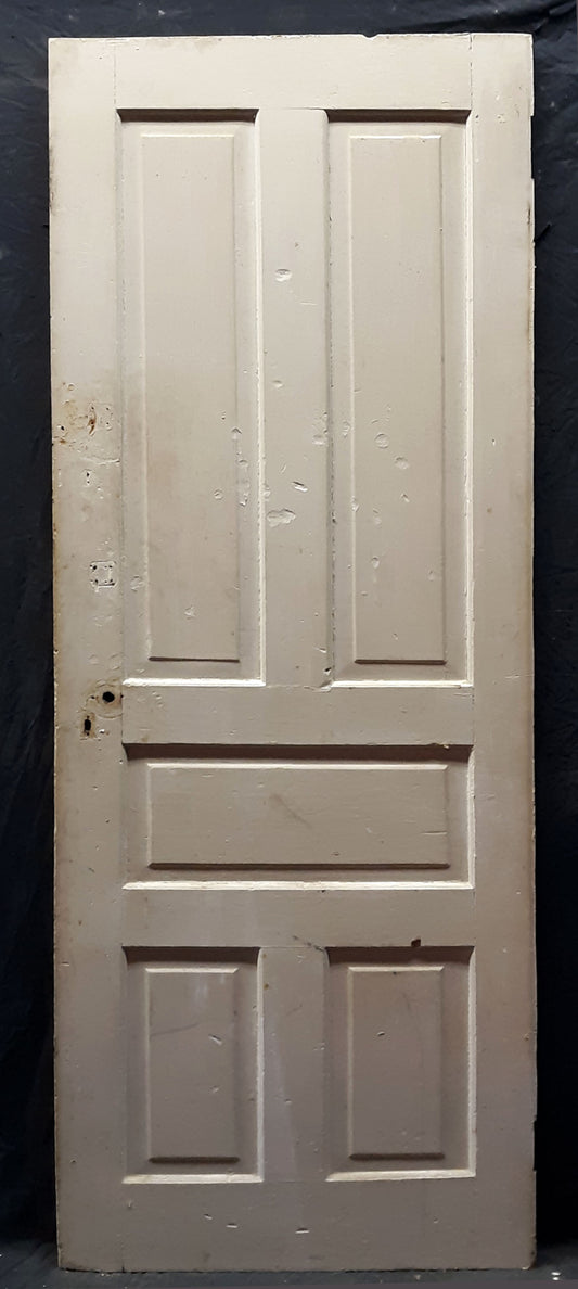 29.5"x79.5" Antique Vintage Old Reclaimed Salvaged Victorian Interior SOLID Wood Wooden Door Panels