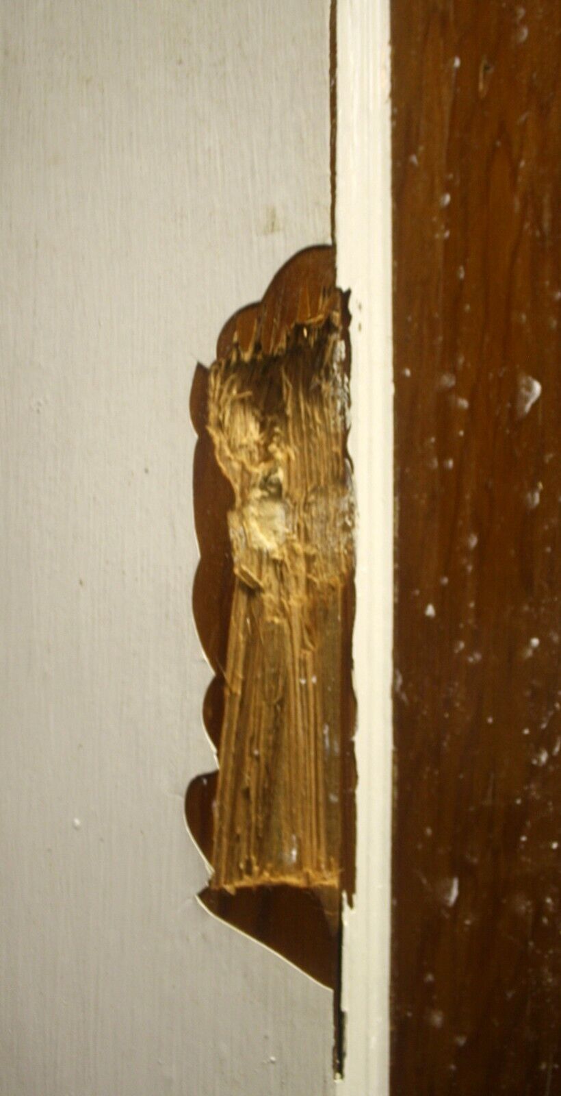 30"x79" Antique Vintage Old Reclaimed Salvaged Interior SOLID Wood Wooden Swinging Door Single Panel
