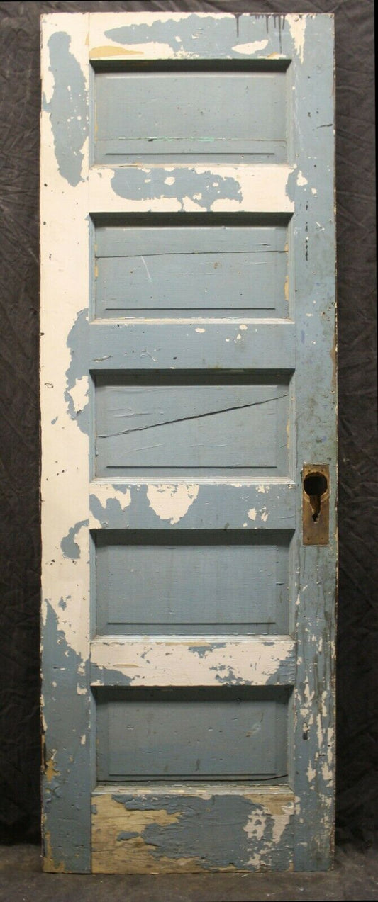 25.5"x76" Antique Vintage Old Reclaimed Salvaged Wood Wooden Interior Closet Pantry Door 5 Panels